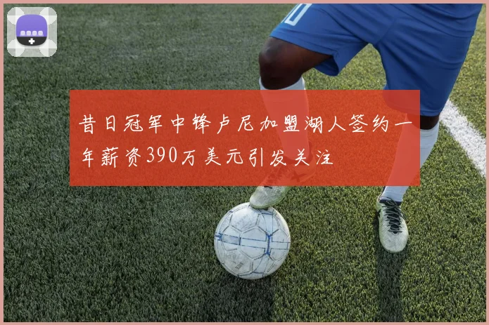 昔日冠军中锋卢尼加盟湖人签约一年薪资390万美元引发关注